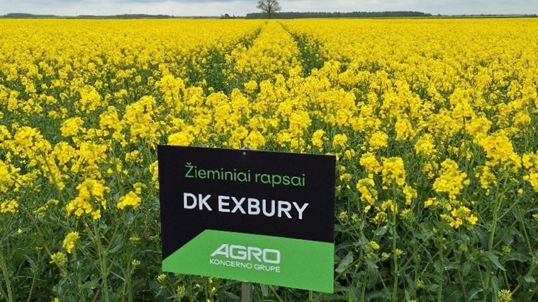 Šaltinis: Veislių kolekcija, DK Exbury .Akmenės r, 2025-05-14