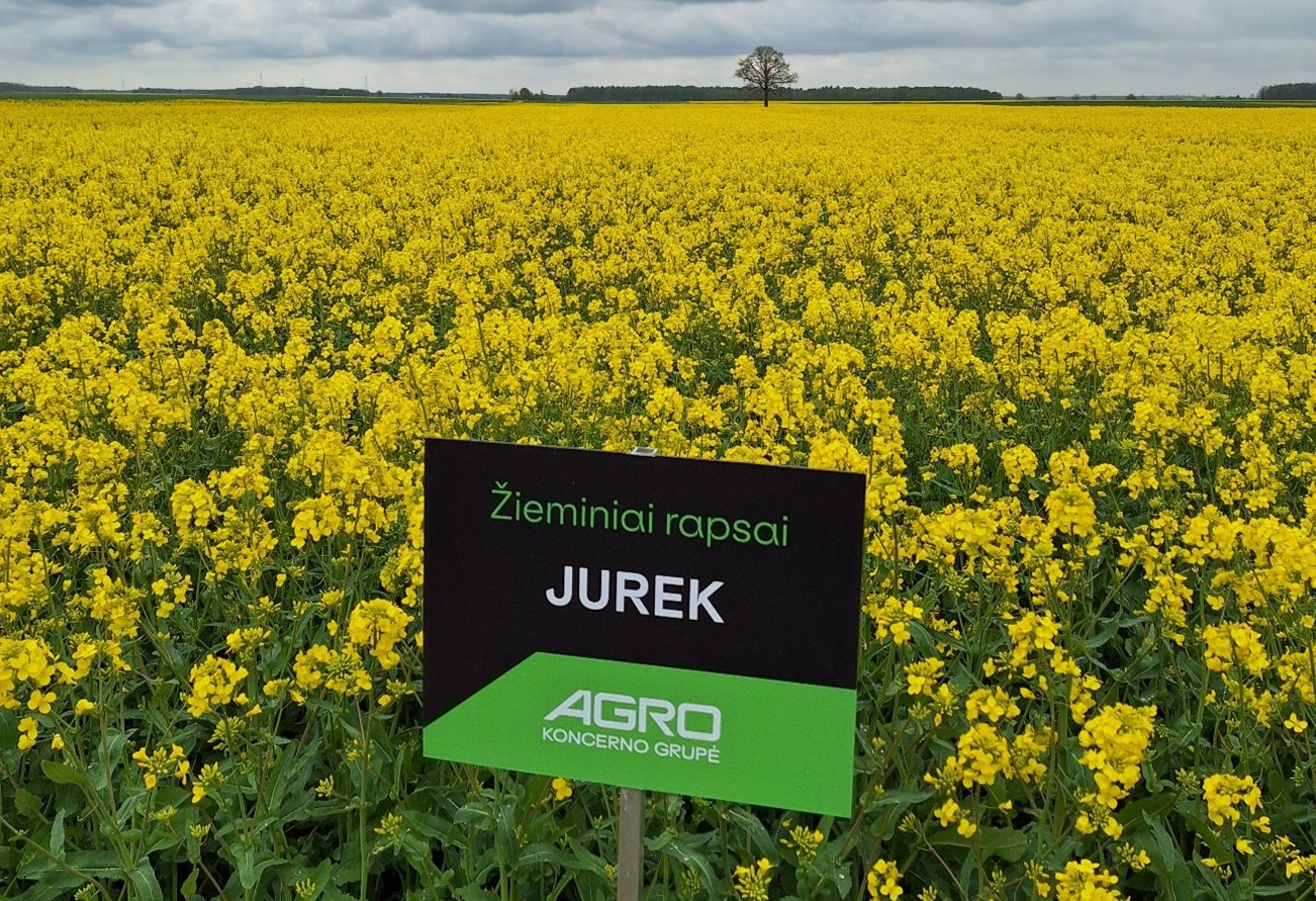 Veislių kolekcija Jurek, Akmenės r. 2025-05-14