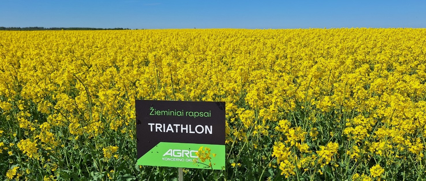 Šaltinis: Ž rapsų veislių kolekcija, Biržų raj., Triathlon, 2025-05-20.