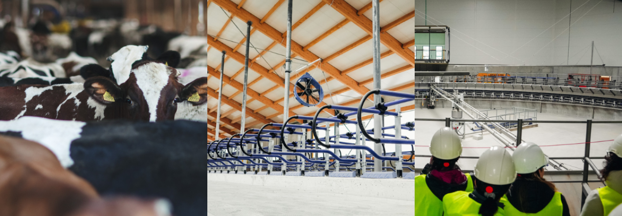 „Agrokoncerno grupė“ ir LSMU pasirašė bendradarbiavimo sutartį – kuriamas unikalus gyvulininkystės sektoriaus modelis Europoje