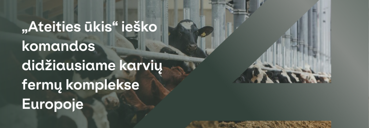 „Ateities ūkis“ ieško komandos didžiausiame karvių fermų komplekse Europoje, Radviliškio r., Bebrujų k.