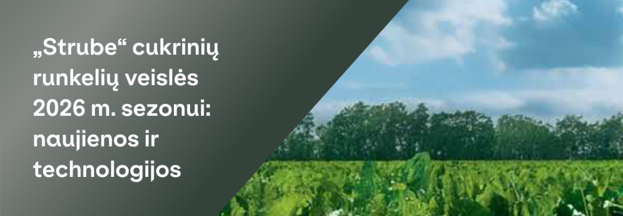 „Strube“ ir „RAGT“ partnerystės logotipas su šūkiu „Ateitį kuriame kartu“ bei užuomina apie 2026 m. cukrinių runkelių sezono naujienas.