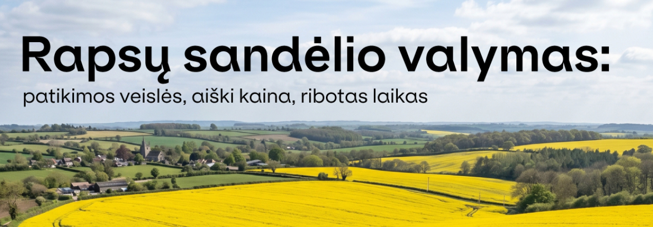 Rapsų sandėlio valymas: išbandytos veislės, aiški kaina, ribotas laika
