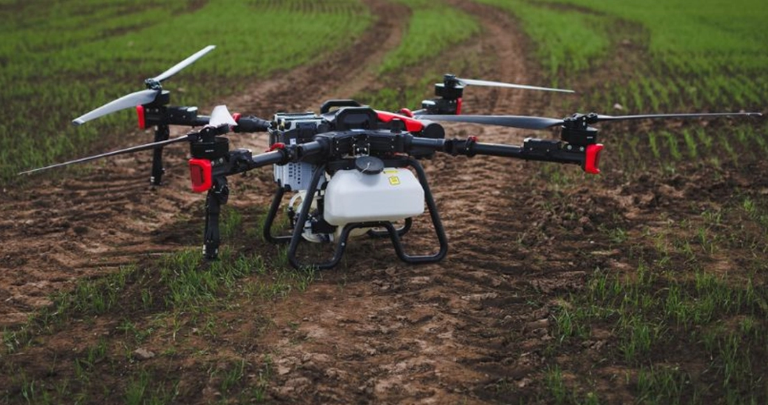 Efektyvūs sprendimai kukurūzų auginime – su Agrodronu