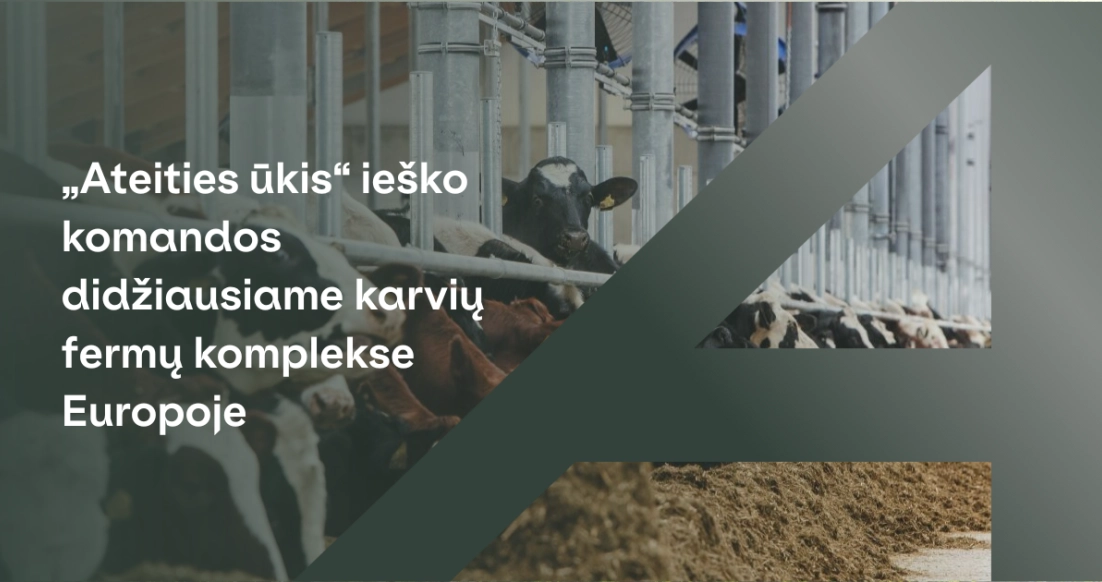 „Ateities ūkis“ ieško komandos didžiausiame karvių fermų komplekse Europoje, Radviliškio r., Bebrujų k.