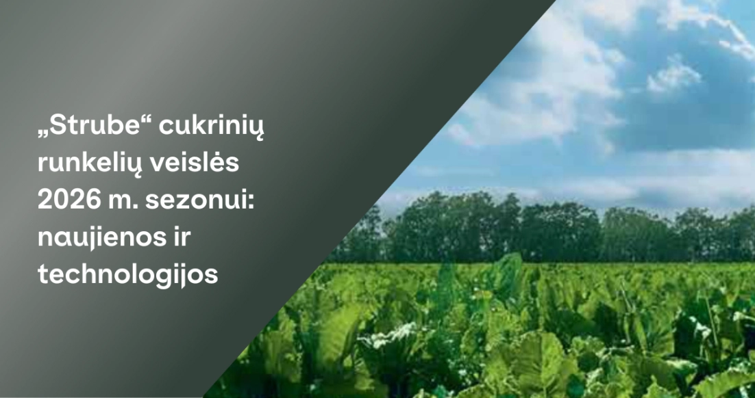 „Strube“ ir „RAGT“ partnerystės logotipas su šūkiu „Ateitį kuriame kartu“ bei užuomina apie 2026 m. cukrinių runkelių sezono naujienas.