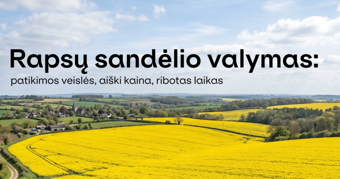 Rapsų sandėlio valymas: išbandytos veislės, aiški kaina, ribotas laika