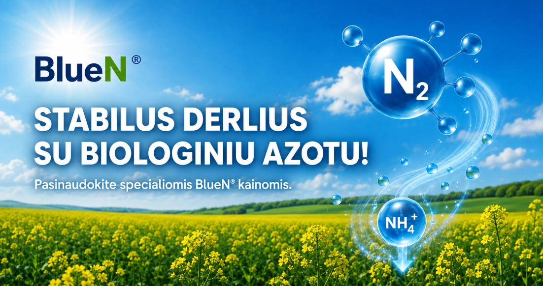 BlueN® žieminiams rapsams – stabilus derlius su biologiniu azotu ir specialios akcijos kainos