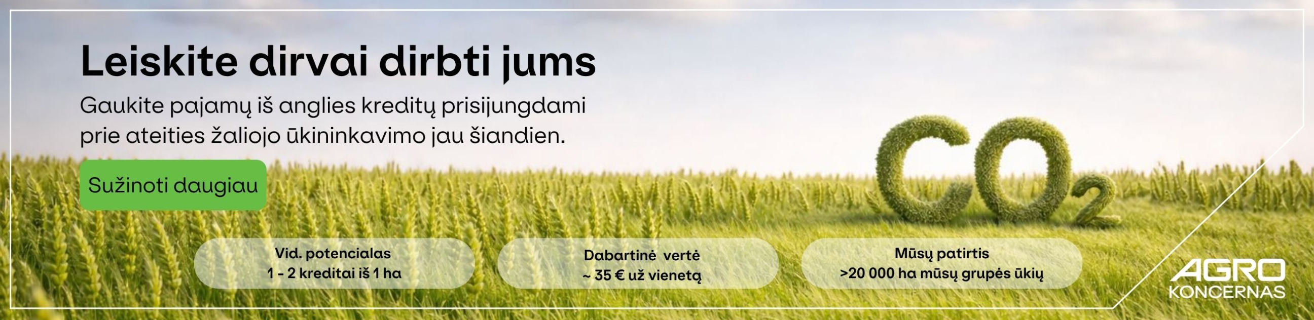 Leiskite dirvai dirbti jums: uždirbkite iš anglies kreditų