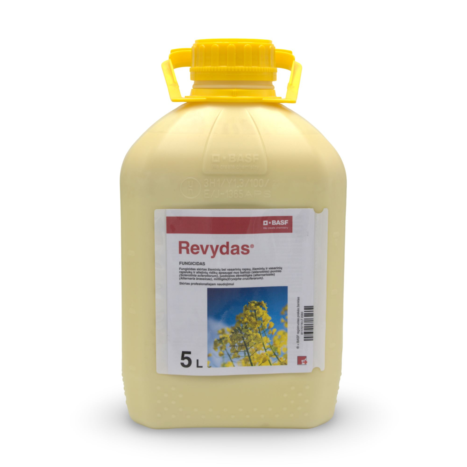 Revydas 4