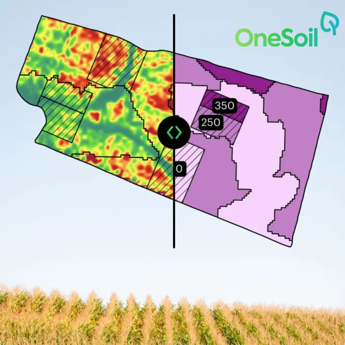 OneSoil 2