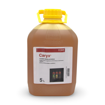 Caryx 1
