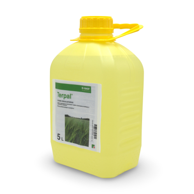 Terpal 2