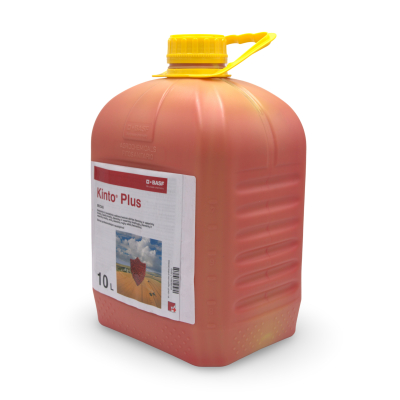 Kinto® Plus 2