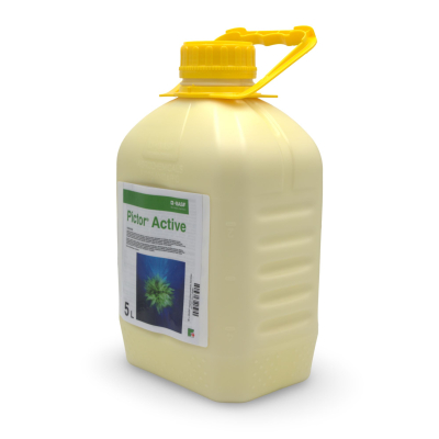 Pictor Active 2