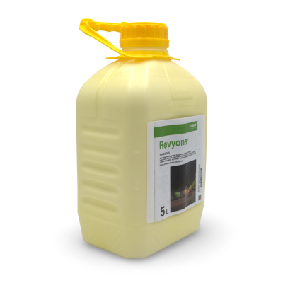 Revyona 2