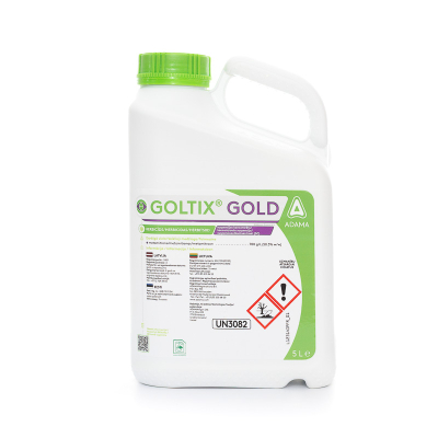 Goltix Gold 1
