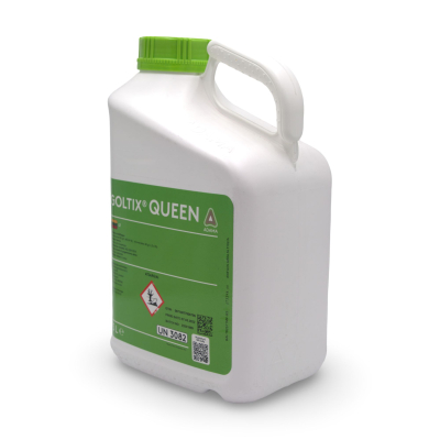 Goltix Queen 2