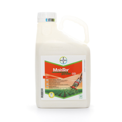 Maister Power OD 1