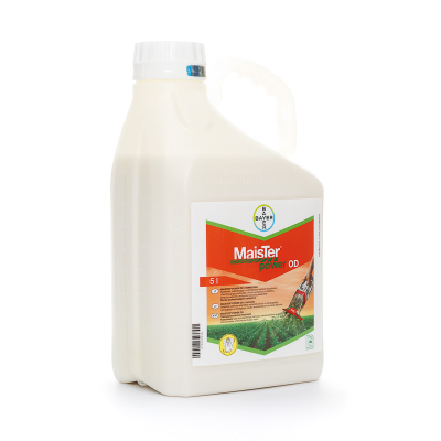 Maister Power OD 2