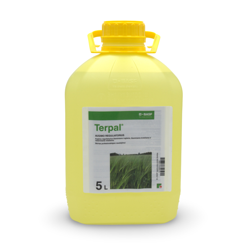 Terpal