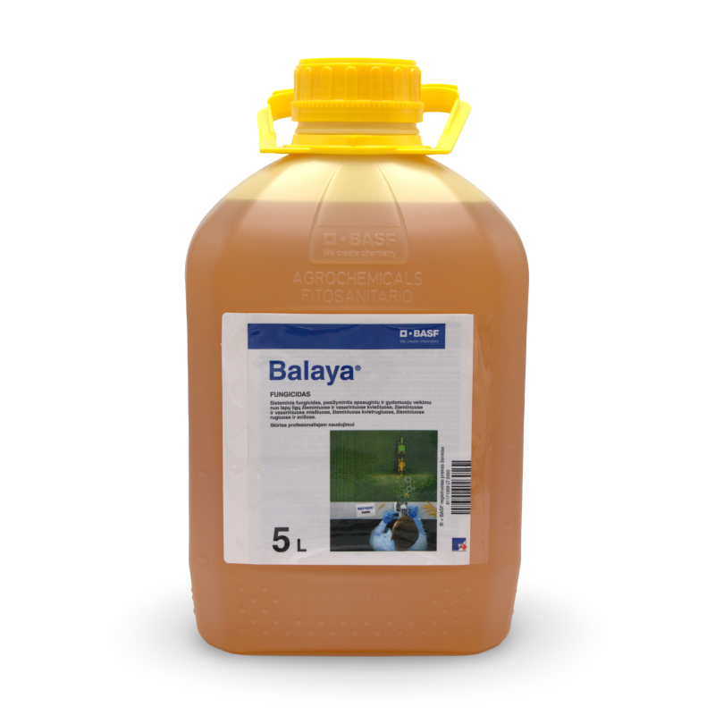 Balaya