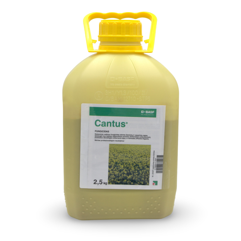 Cantus