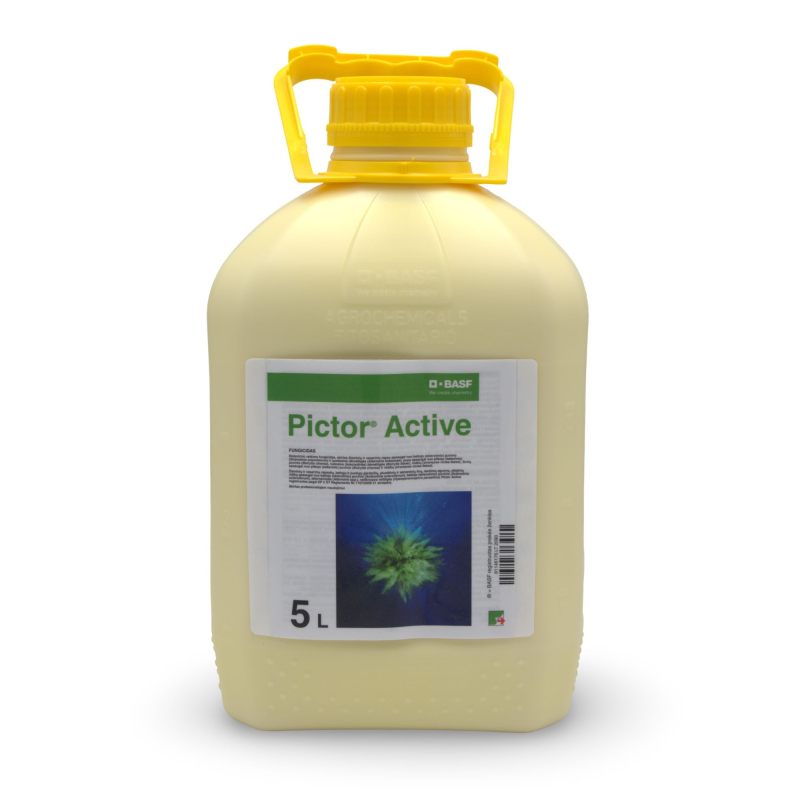Pictor Active