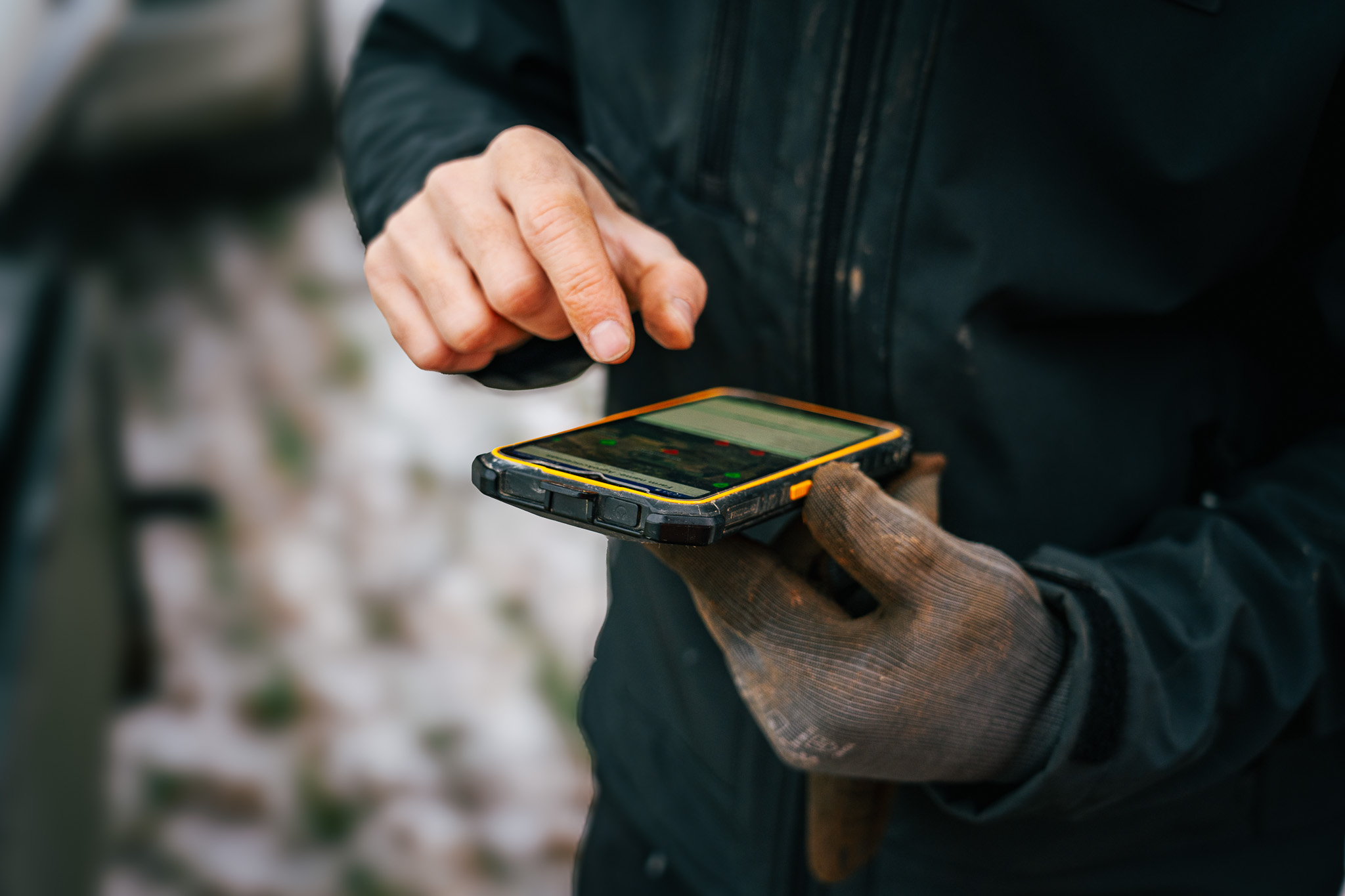 Lrytas.lt straipsnis